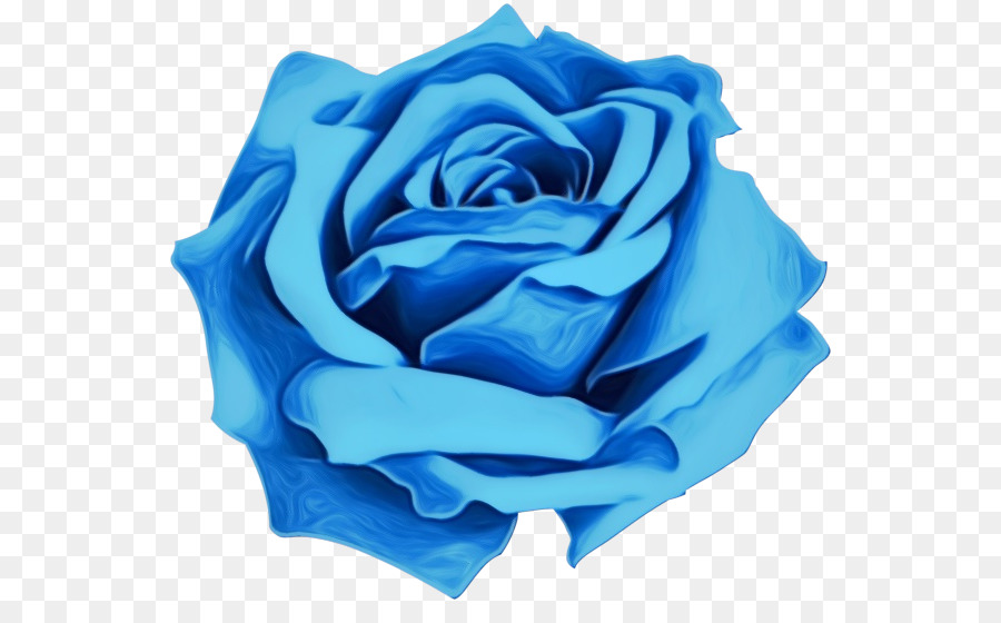 Flores De Corte，Rosa Azul PNG