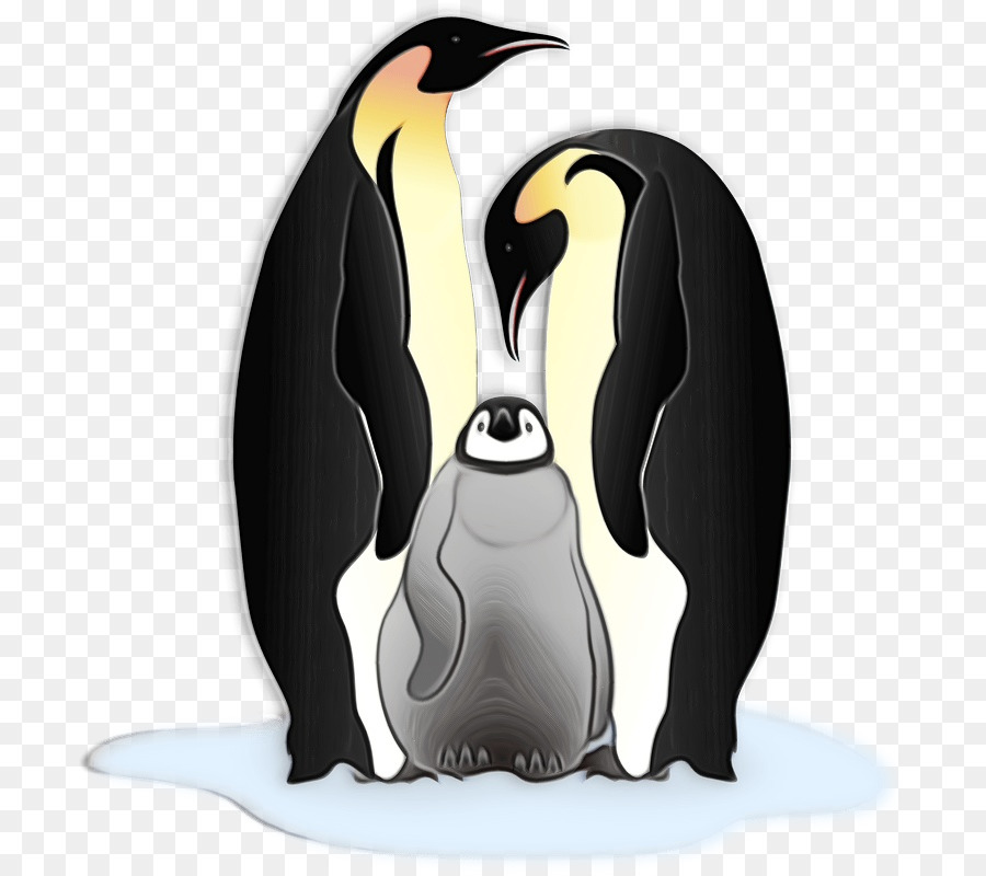 Pinguim Rei，Pinguins PNG