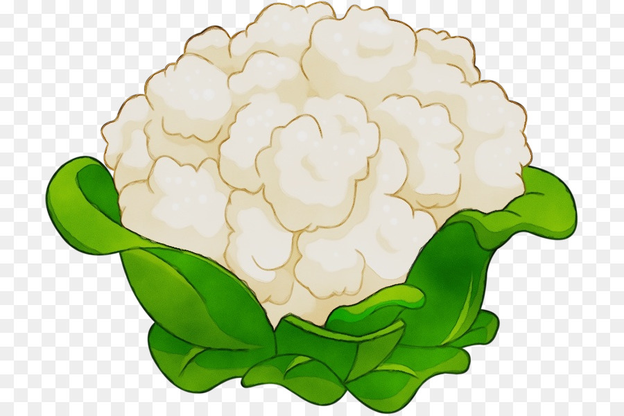 Design Floral，Couve Flor PNG