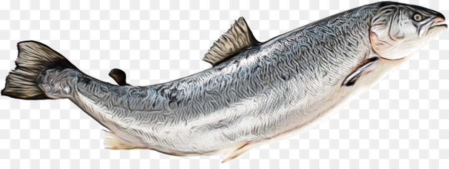 Peixe，Aquático PNG