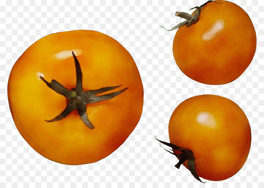 Tomate，Persimmons PNG