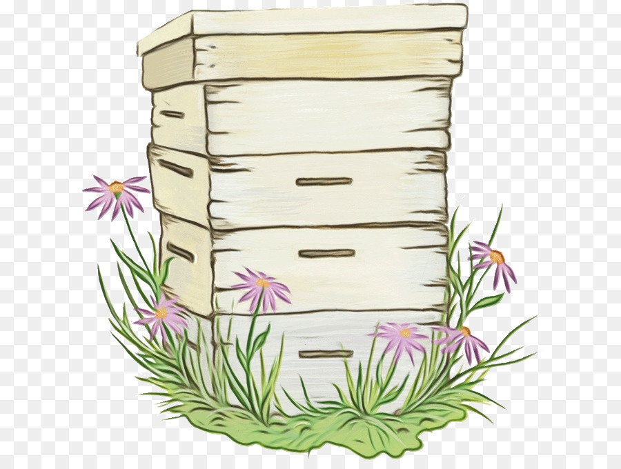 Flor，Flowerpot PNG