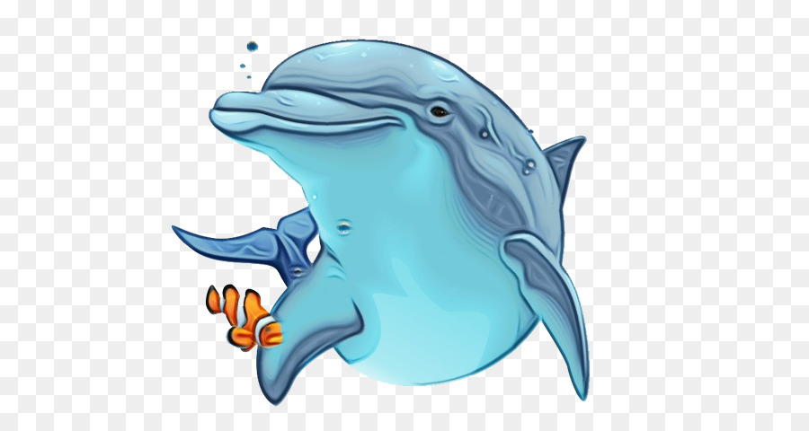 Wholphin，Shortbeaked Golfinho Comum PNG