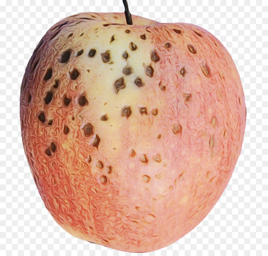 Maçã Podre，Fruta PNG