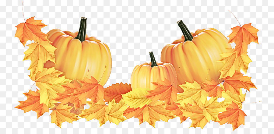 Squash，Jackolantern PNG