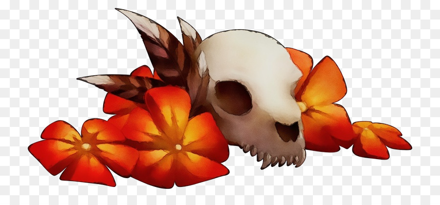 Flor，Focinho PNG