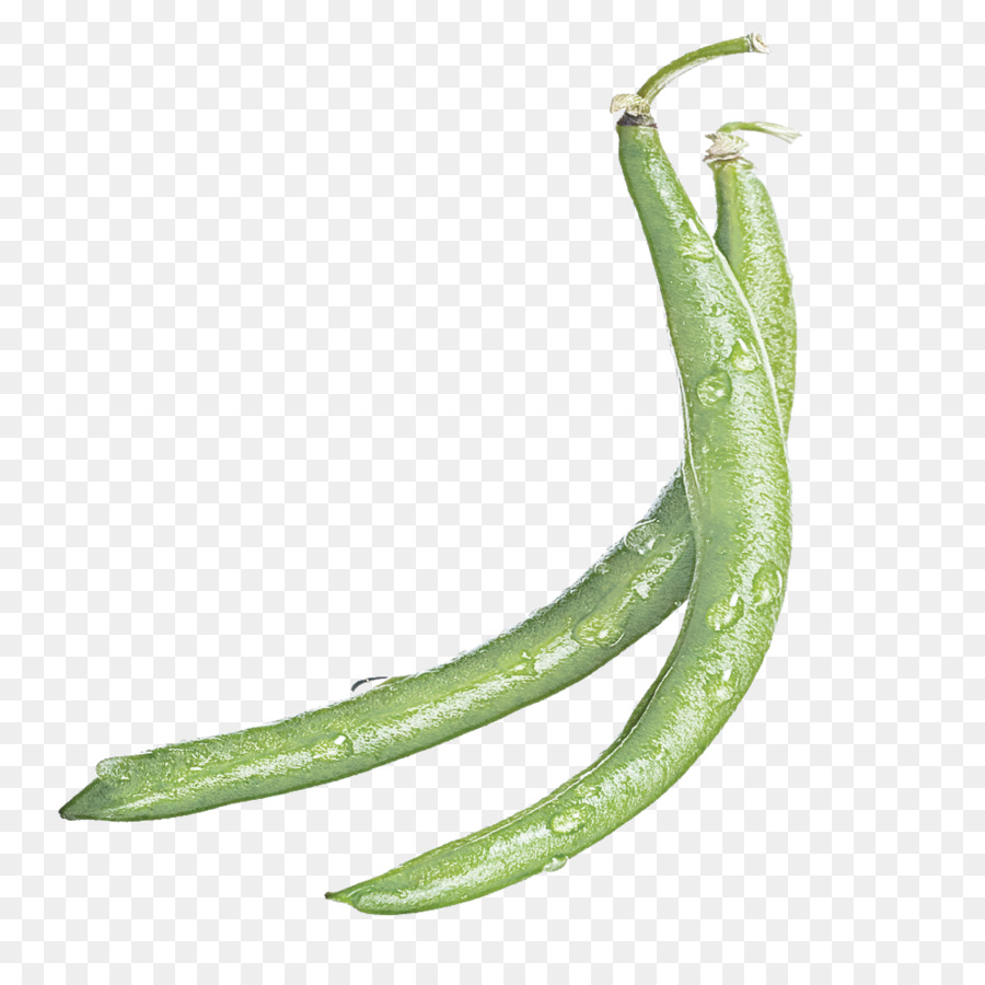 Serrano Pimenta，Pimenta De Caiena PNG