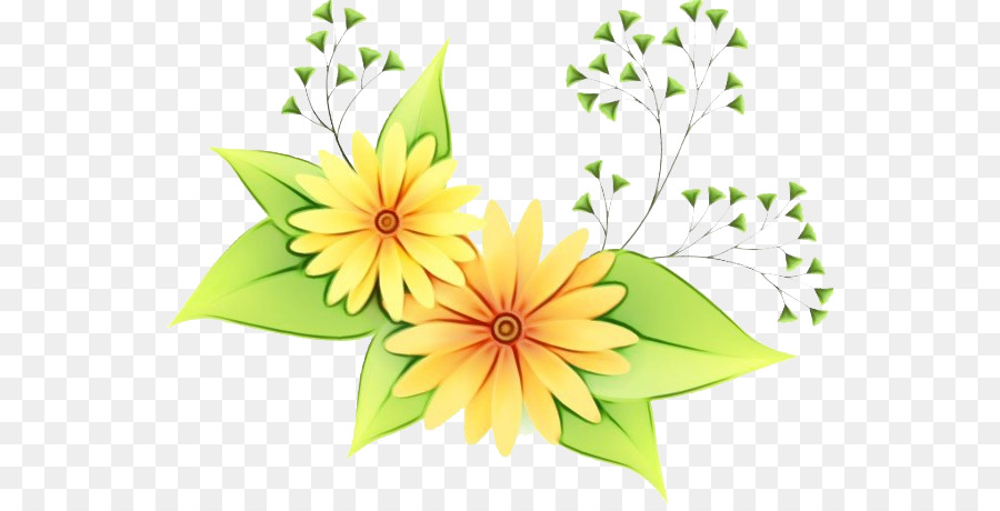 Design Floral，Folha PNG