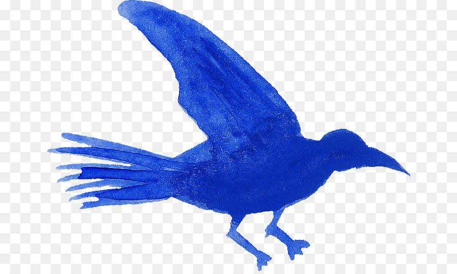 Aves，Bluebirds PNG