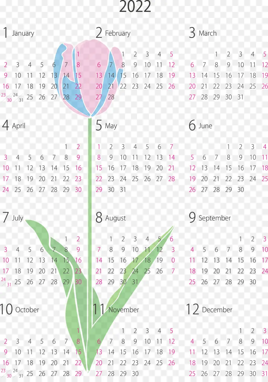 Sistema De Calendário，Papel Branco PNG