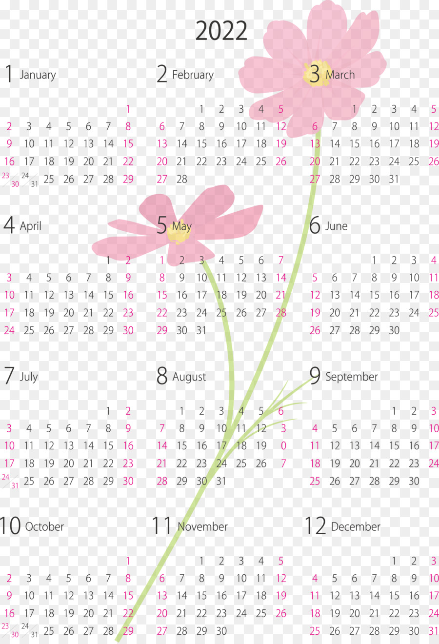 Calendário 2024，Ano PNG