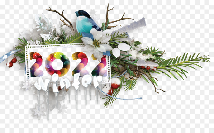 Fir，Christmas Day PNG