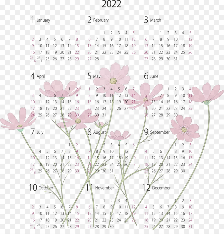 Calendário，Flores PNG