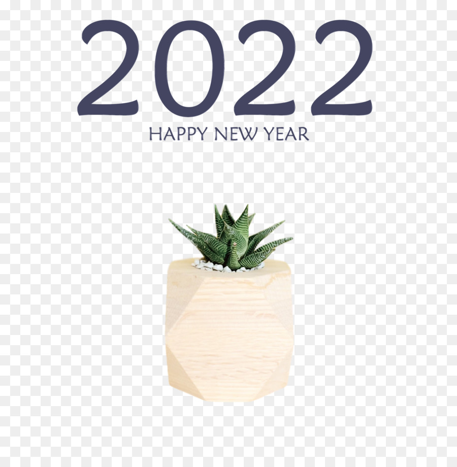 Planta，Flowerpot PNG