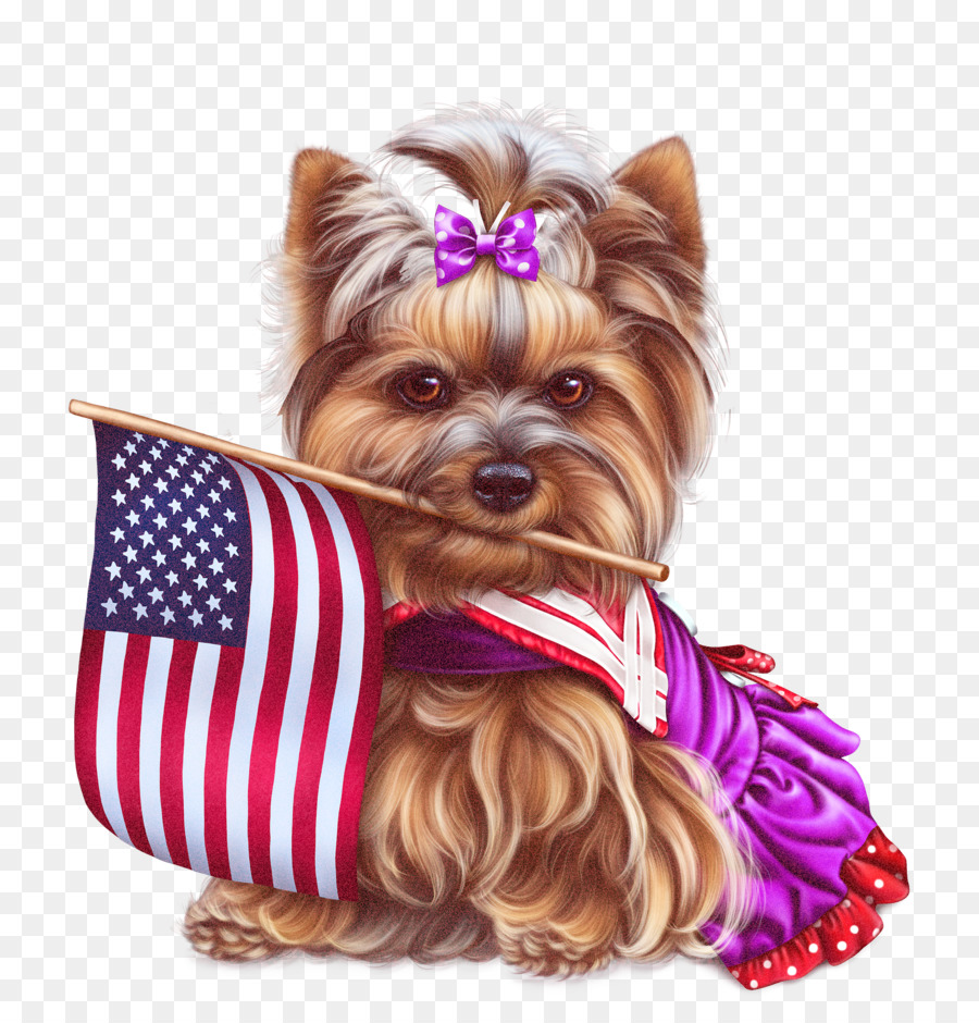 Yorkshire Terrier，Terrier Sedoso PNG