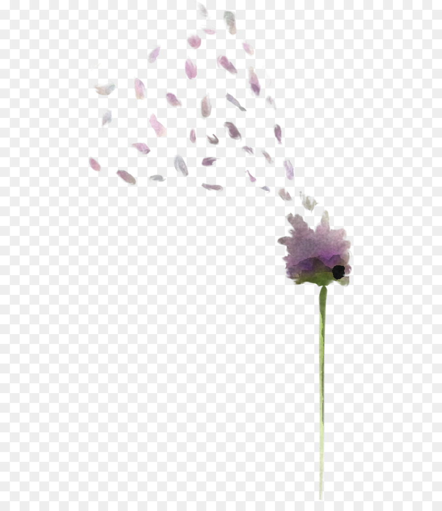 Planta De Haste，Lavanda PNG