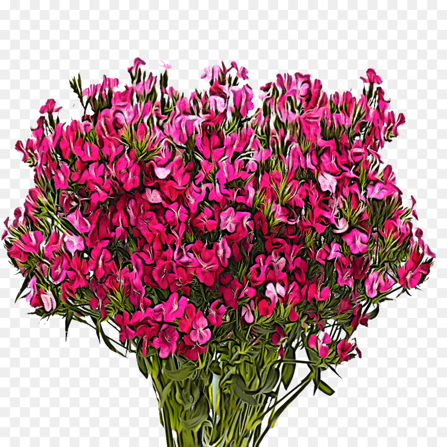 Design Floral，Planta Anual PNG