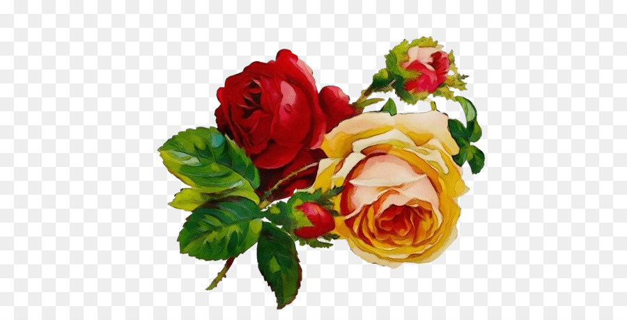 Rosa，Flor PNG