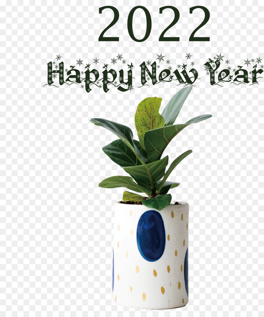 Planta，Flowerpot PNG