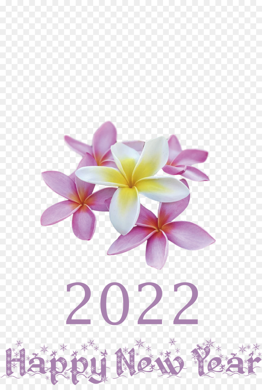 Flores De Ano Novo，Celebração PNG