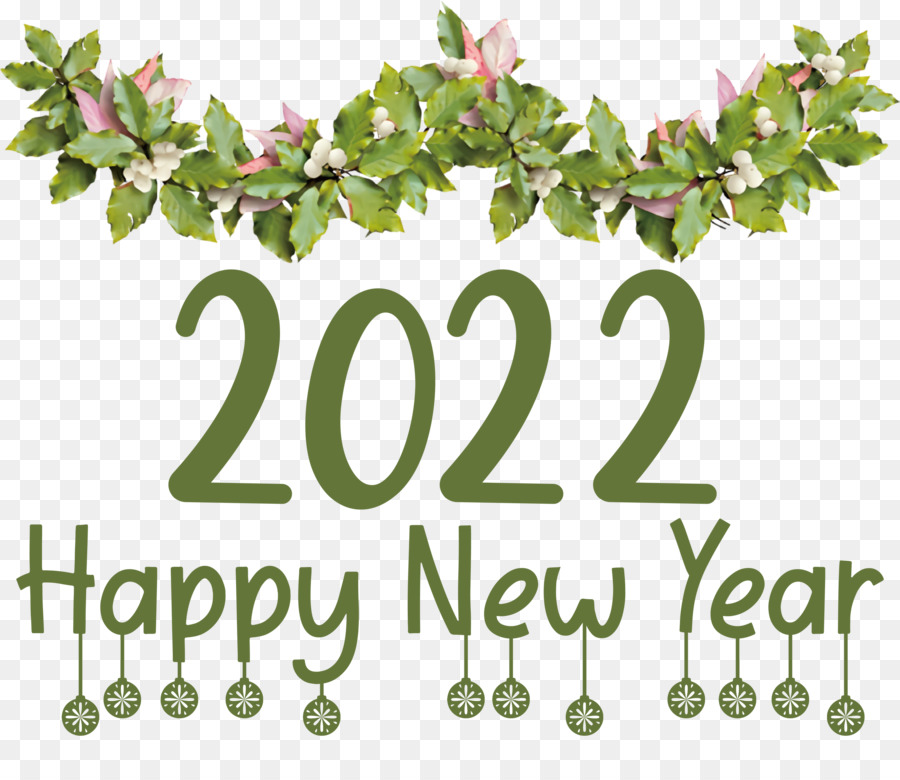 Véspera De Ano Novo，Ano Novo PNG