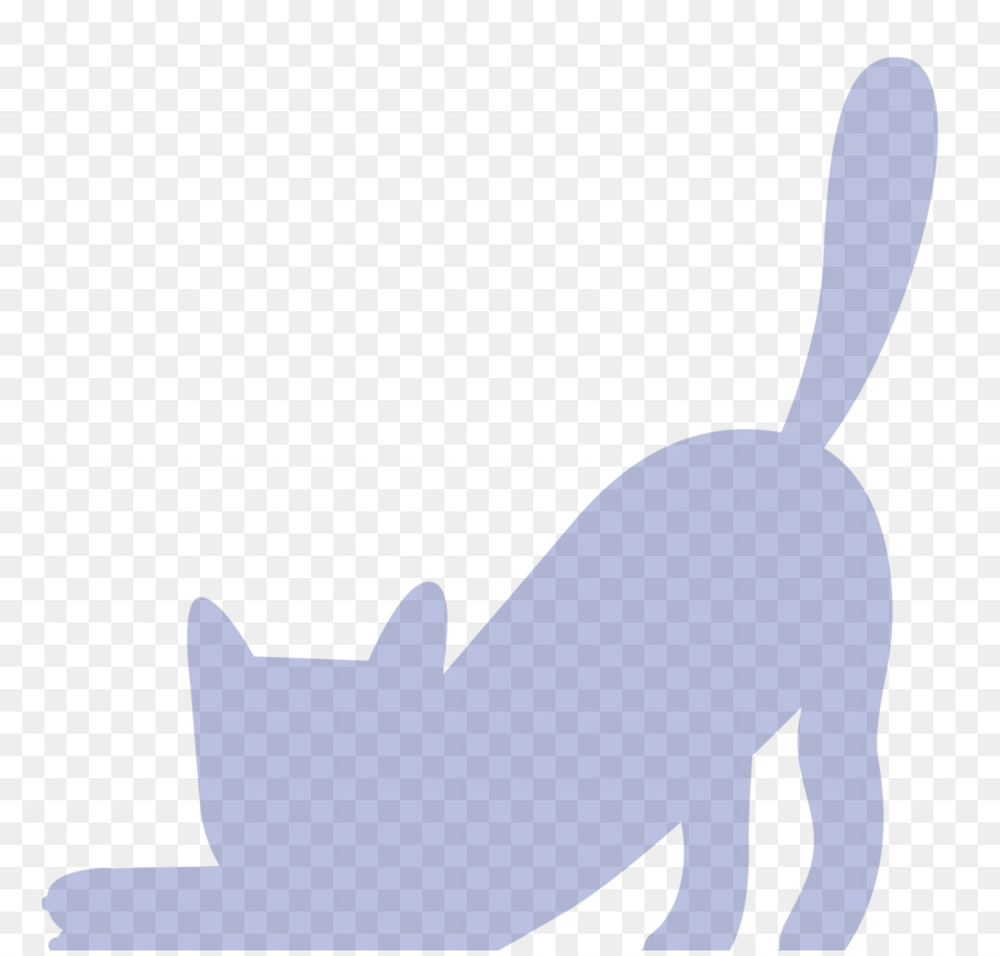 Gato，Cachorro PNG