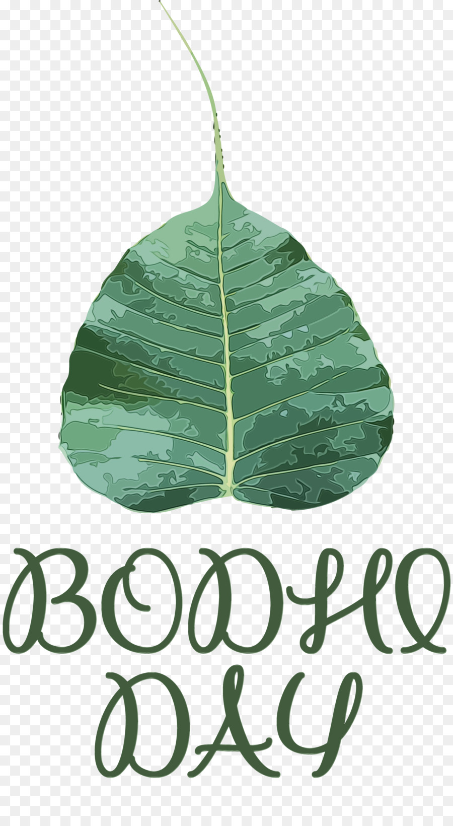 Folha，Verde PNG