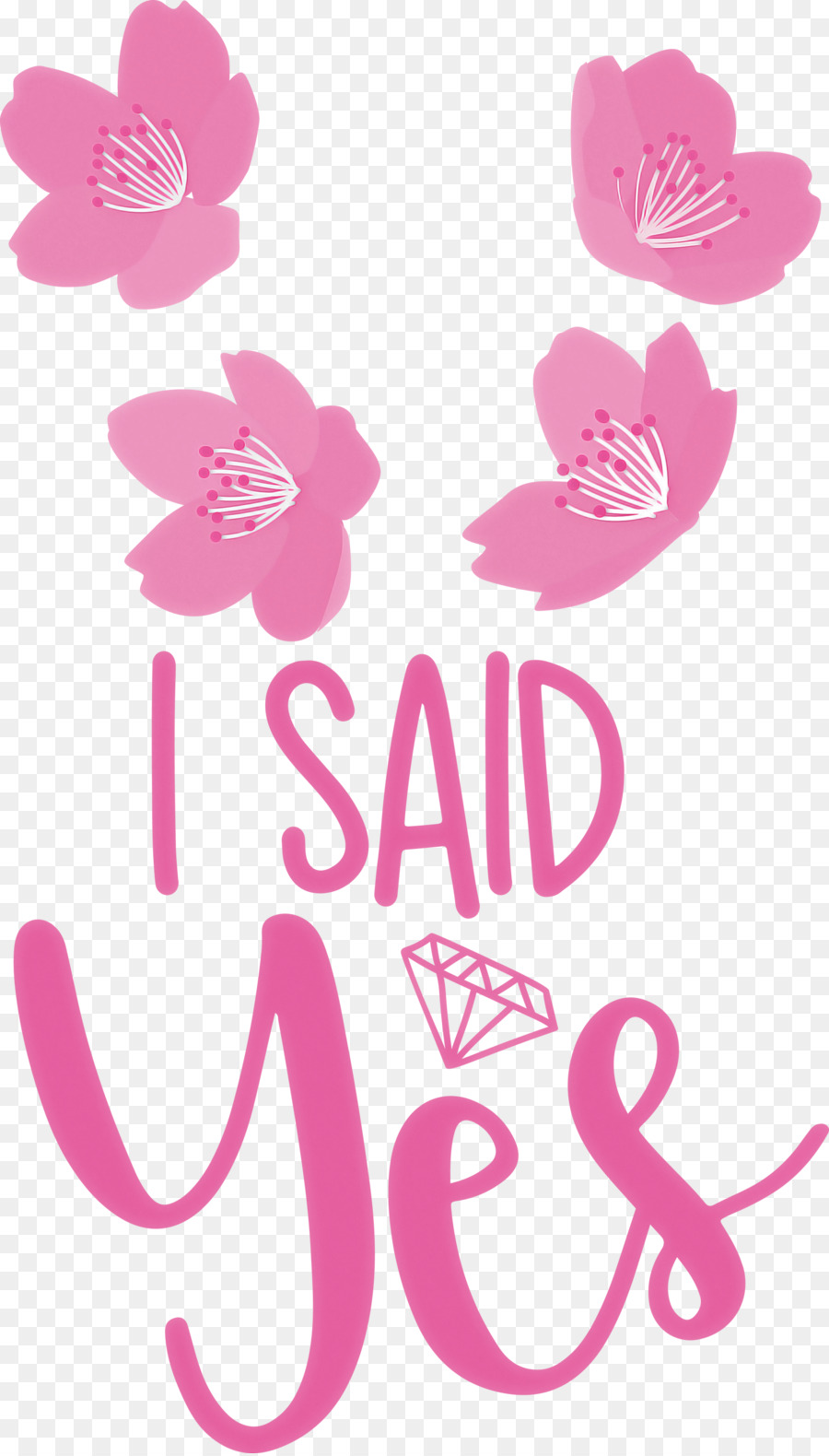 Design Floral，Logo PNG