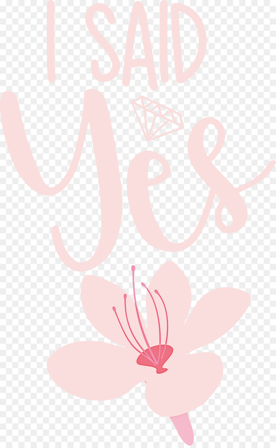 Artes Visuais，Design Floral PNG