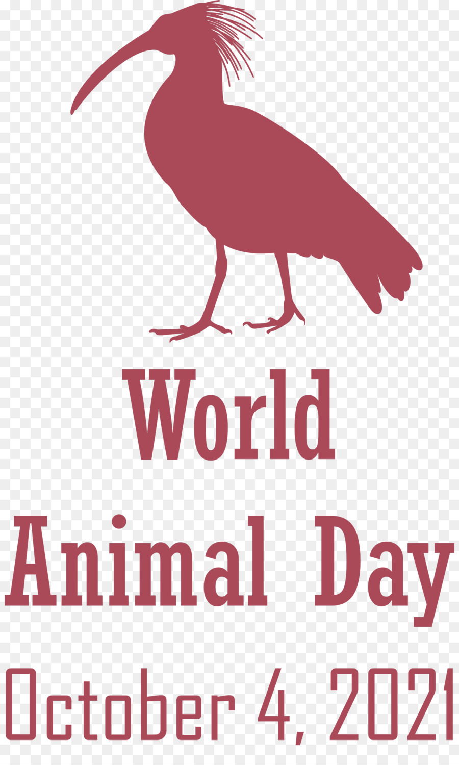 Dia Mundial Dos Animais，Flamingo PNG