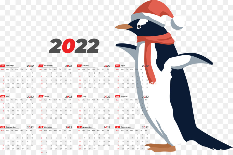 Pinguins，Aves PNG