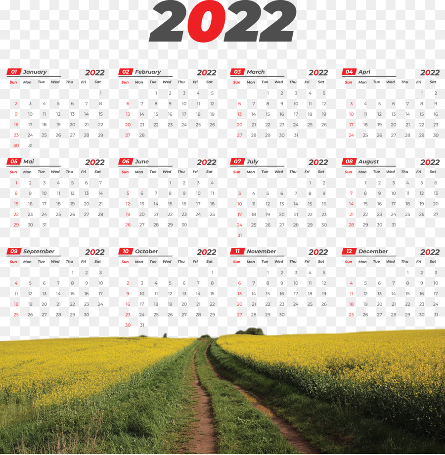 Calendário 2022，Ano PNG