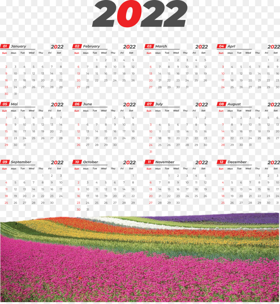 Calendário 2022，Ano PNG