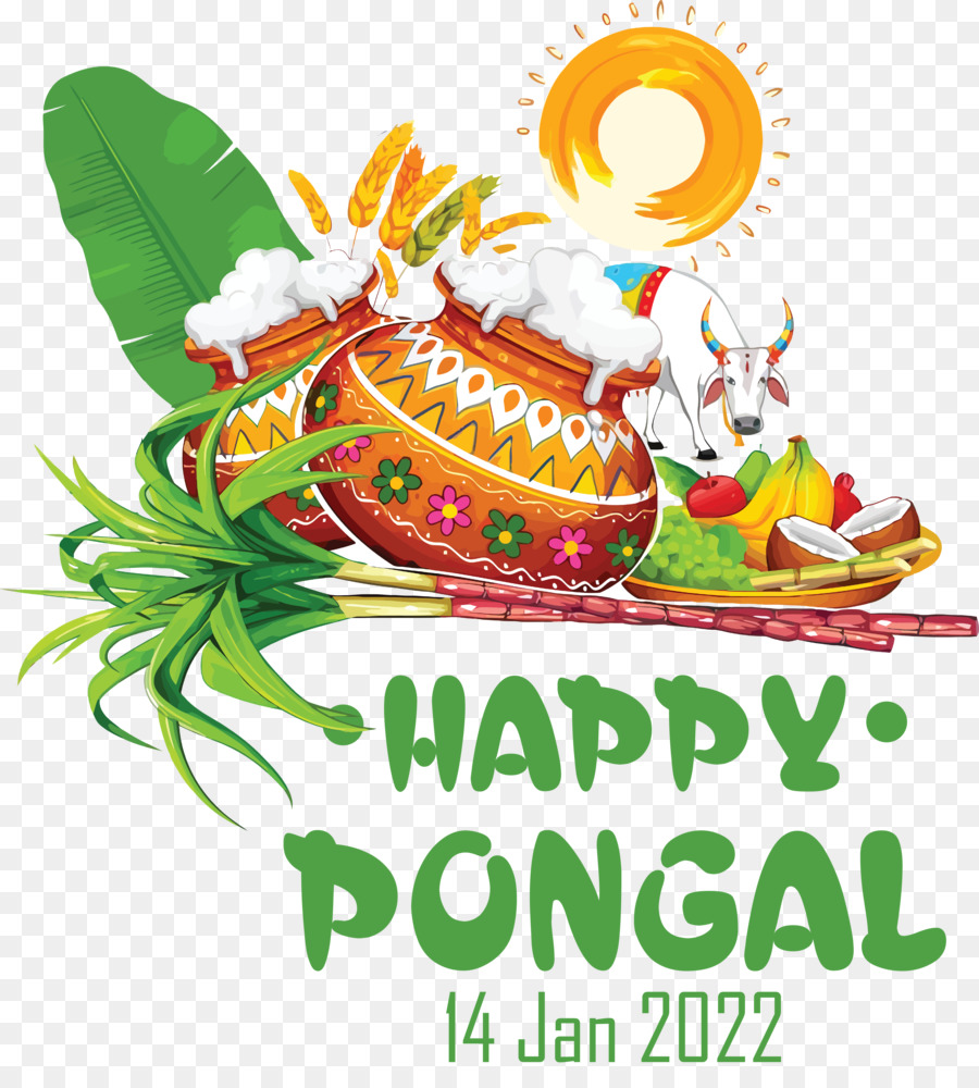 Celebração Pongal，Colheita PNG