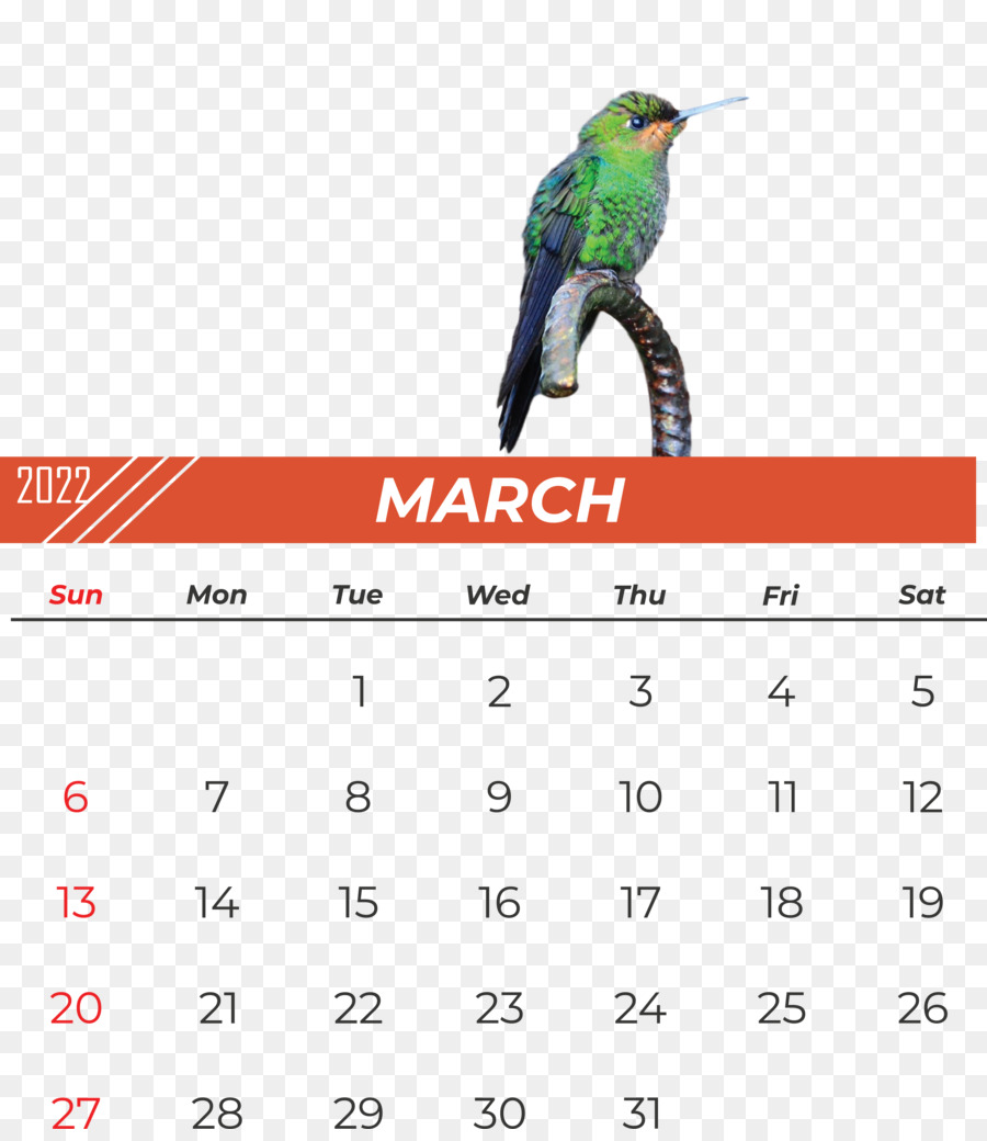 Aves，Calendário PNG