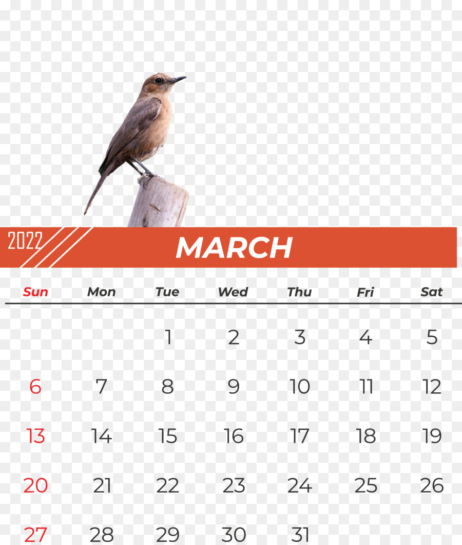 Calendário De Março，Mês PNG