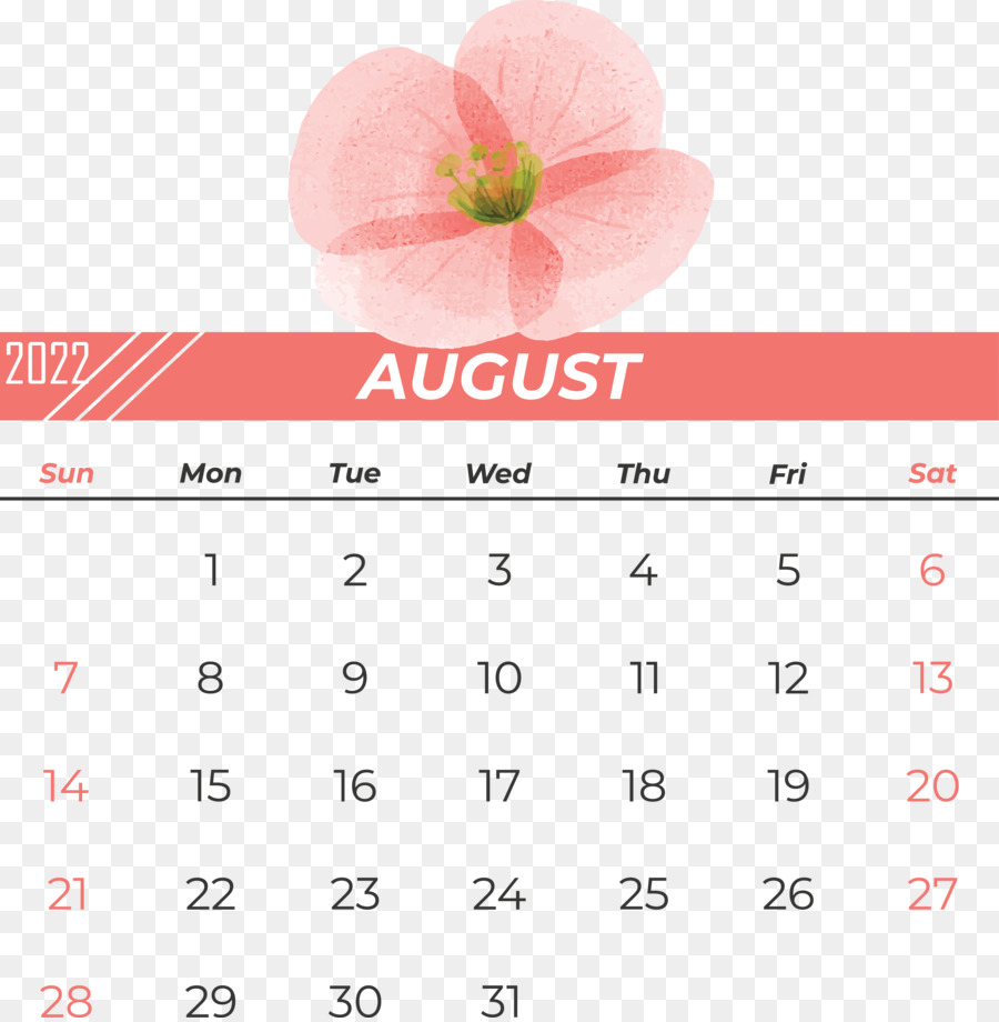 Calendário，Meter PNG