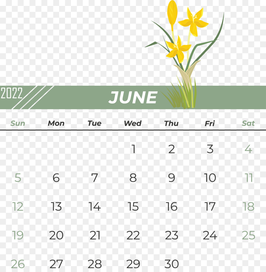 Calendário De Junho，Mês PNG