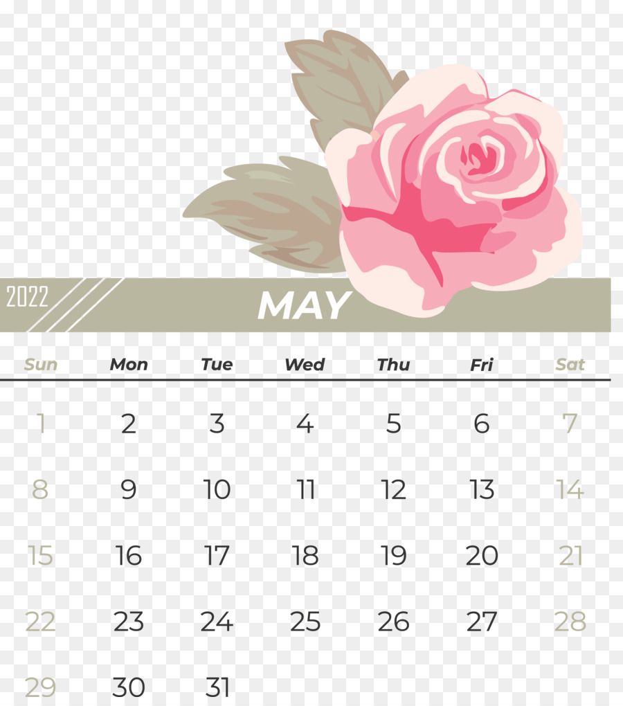 Calendário，Rosa M PNG