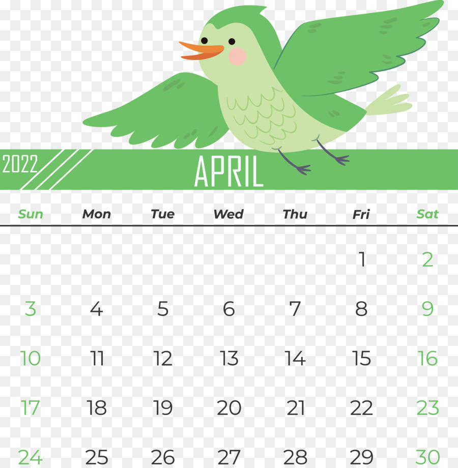 Calendário，Logo PNG