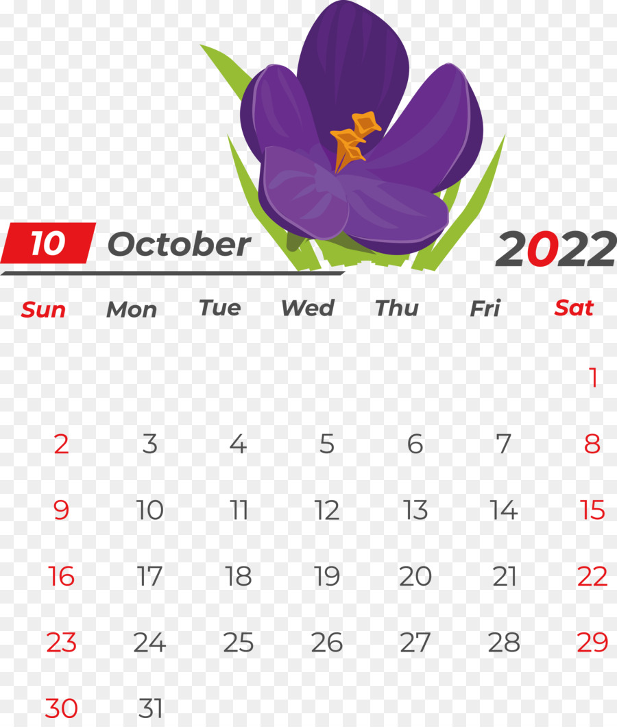 Calendário，Outubro PNG