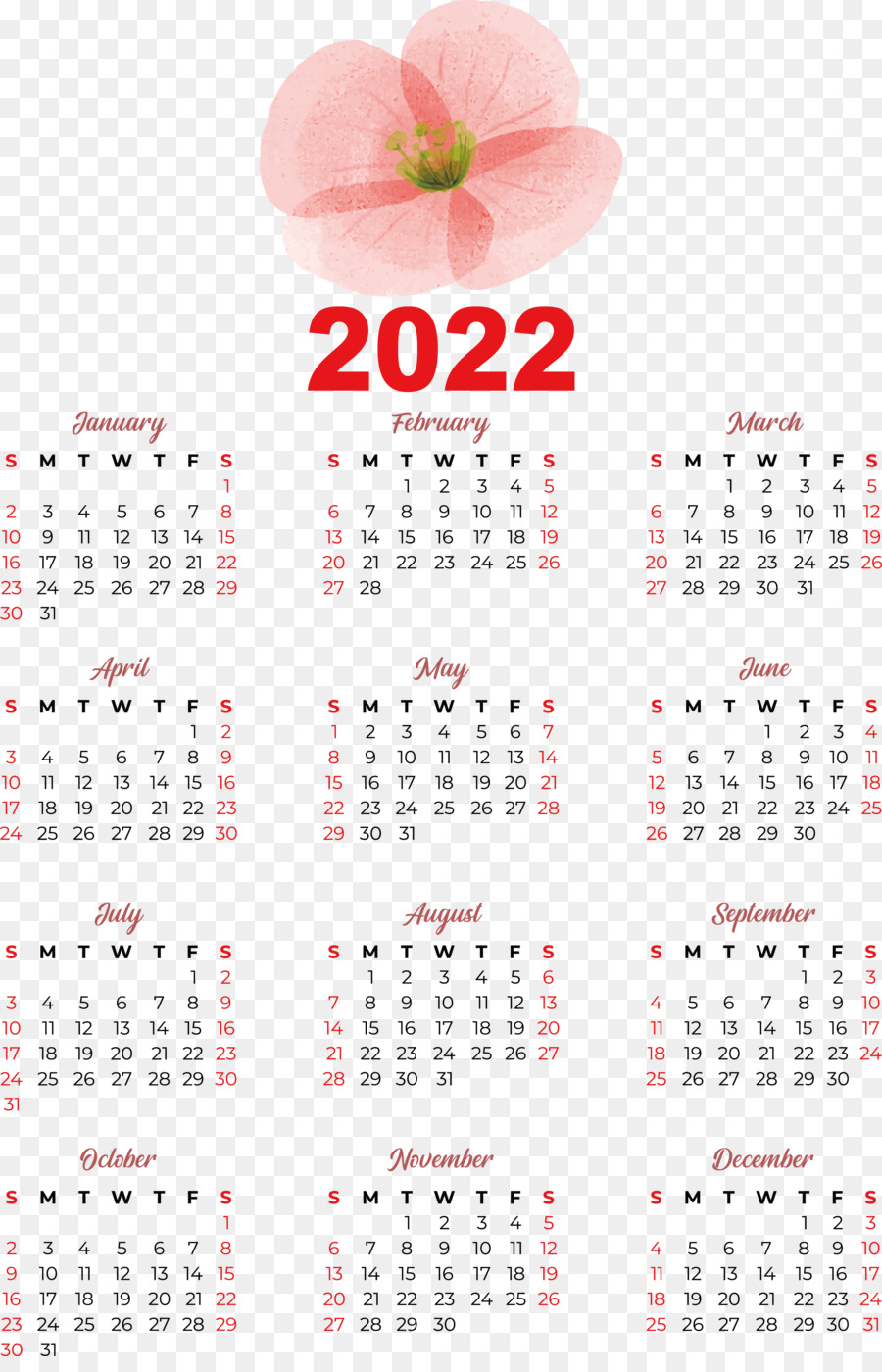 Calendário，Calendário Anual PNG