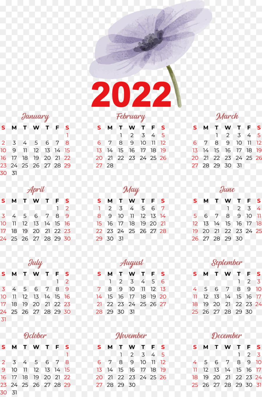 Calendário 2024，Ano PNG