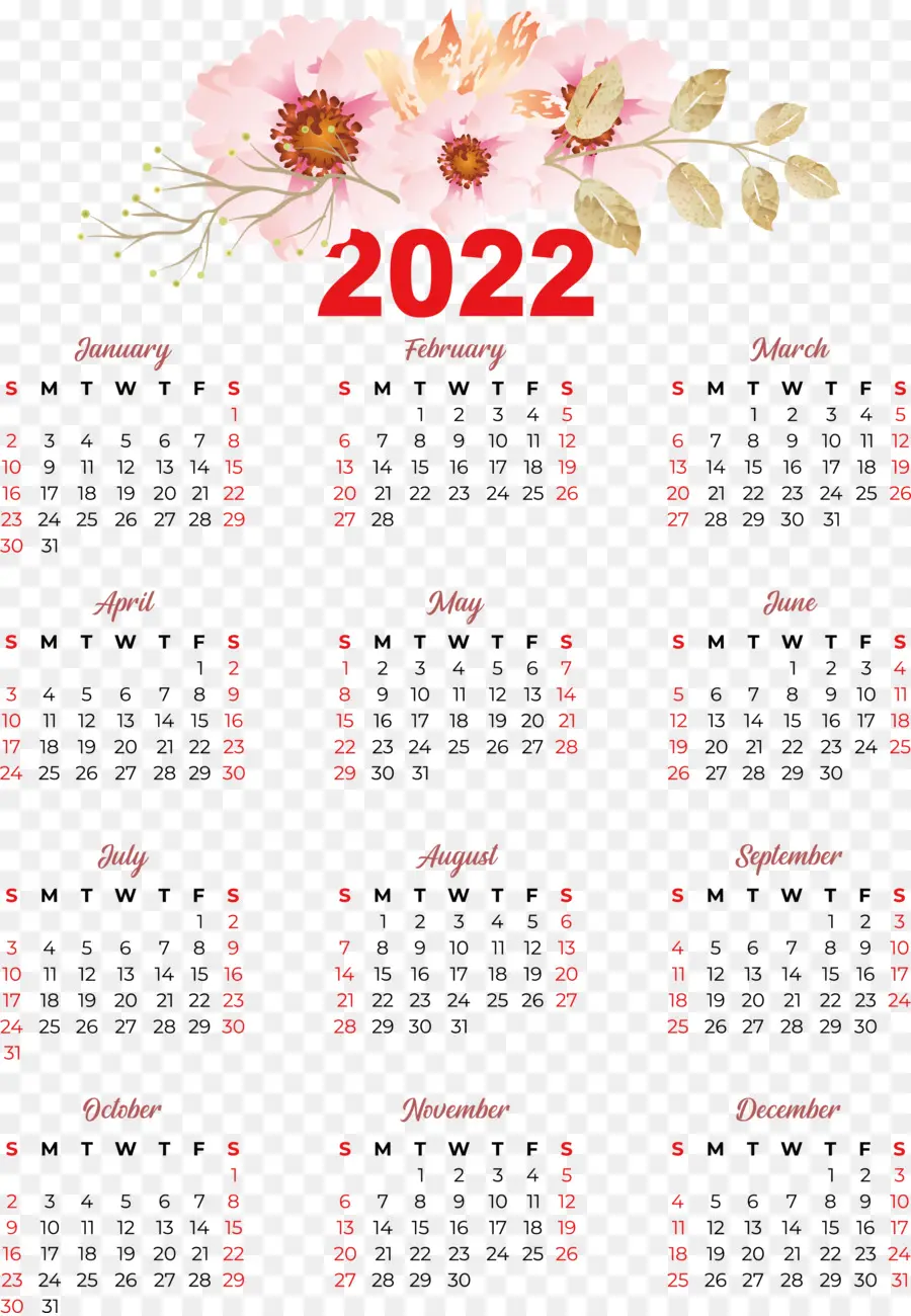 Calendário，Ano Calendário PNG