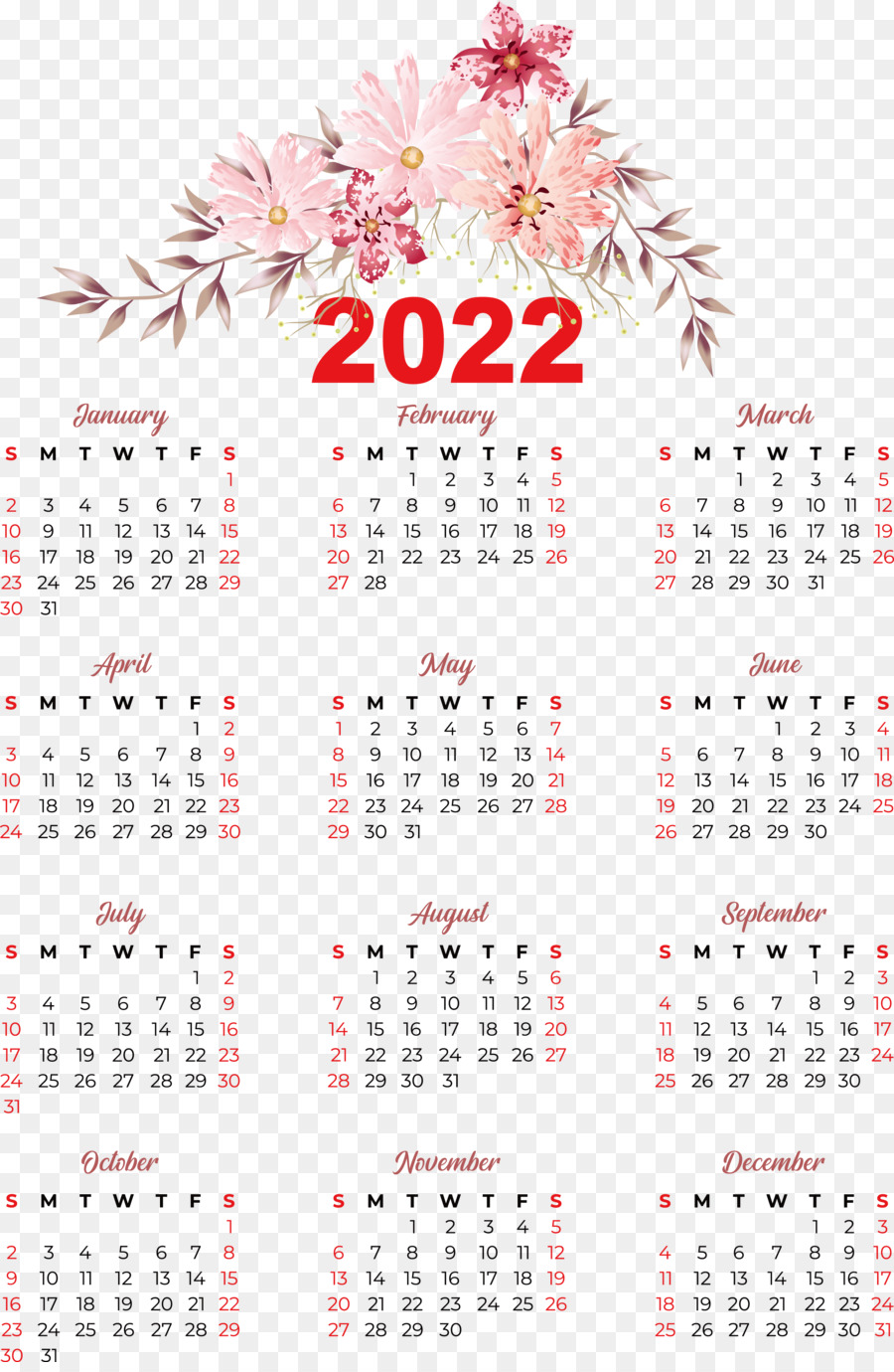 Calendário 2024，Ano PNG