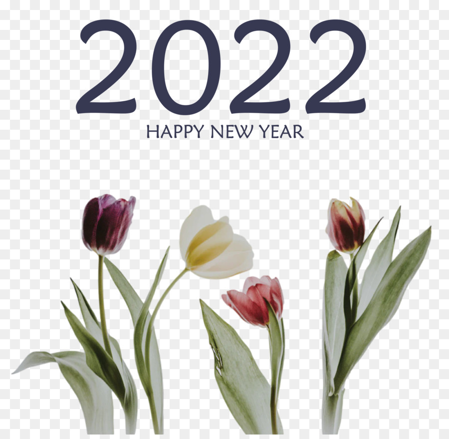 Feliz Ano Novo 2023，Ano Novo PNG