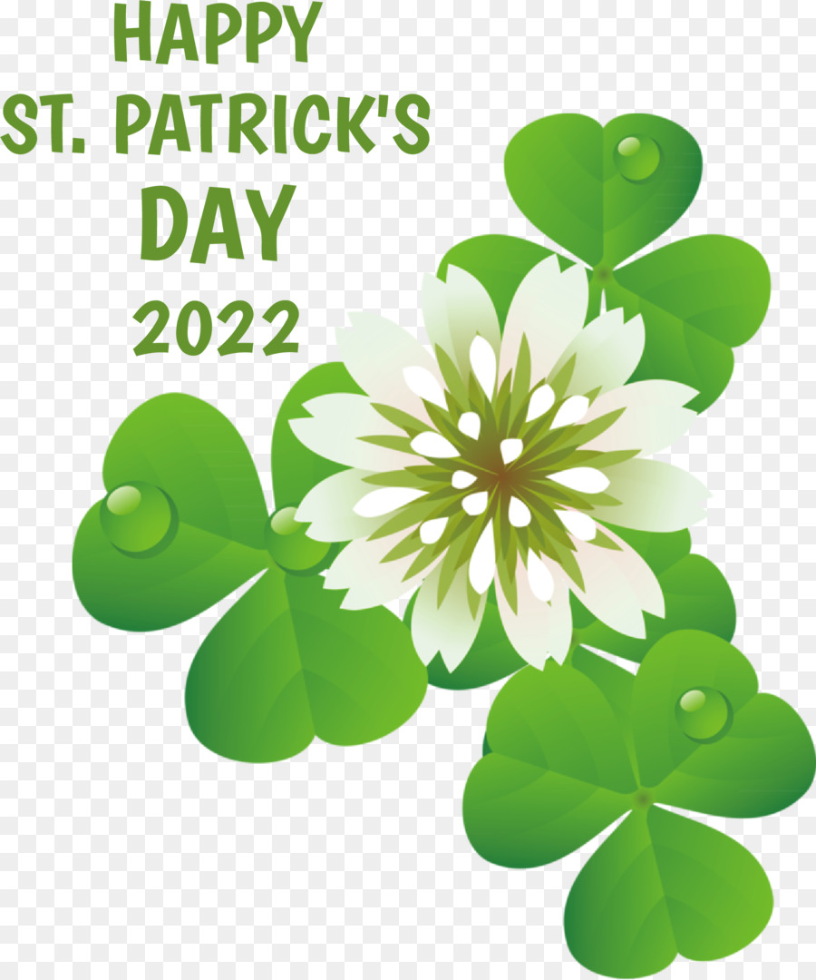 St Patricks Day，Shamrock PNG