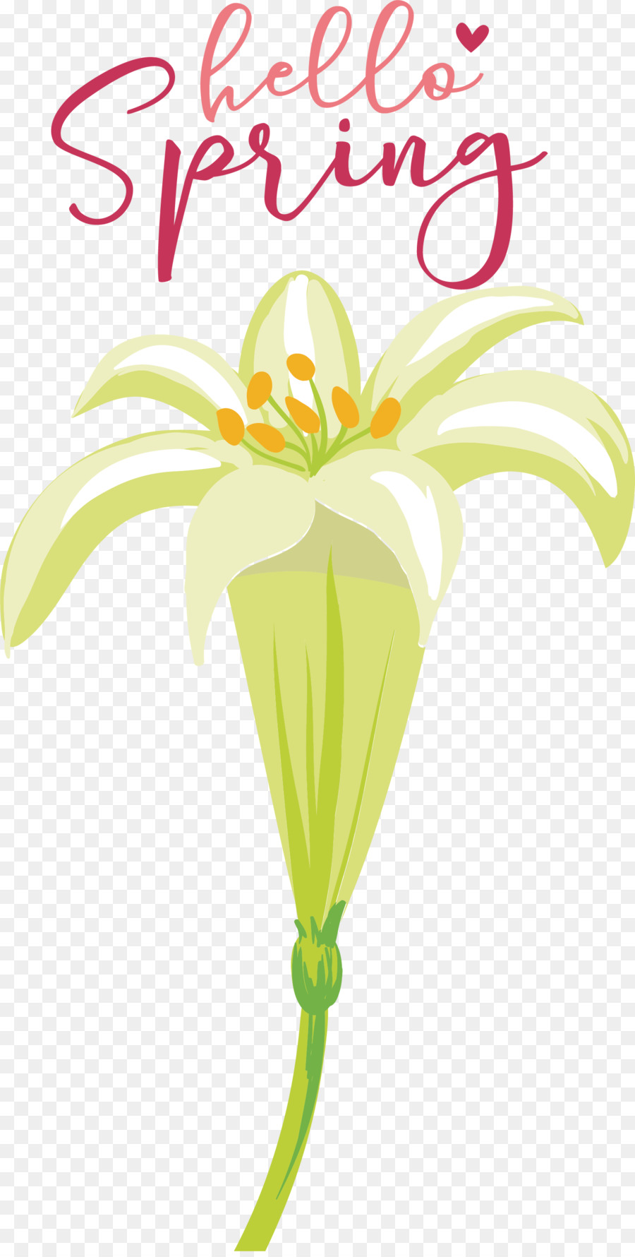 Planta De Haste，Flores De Corte PNG