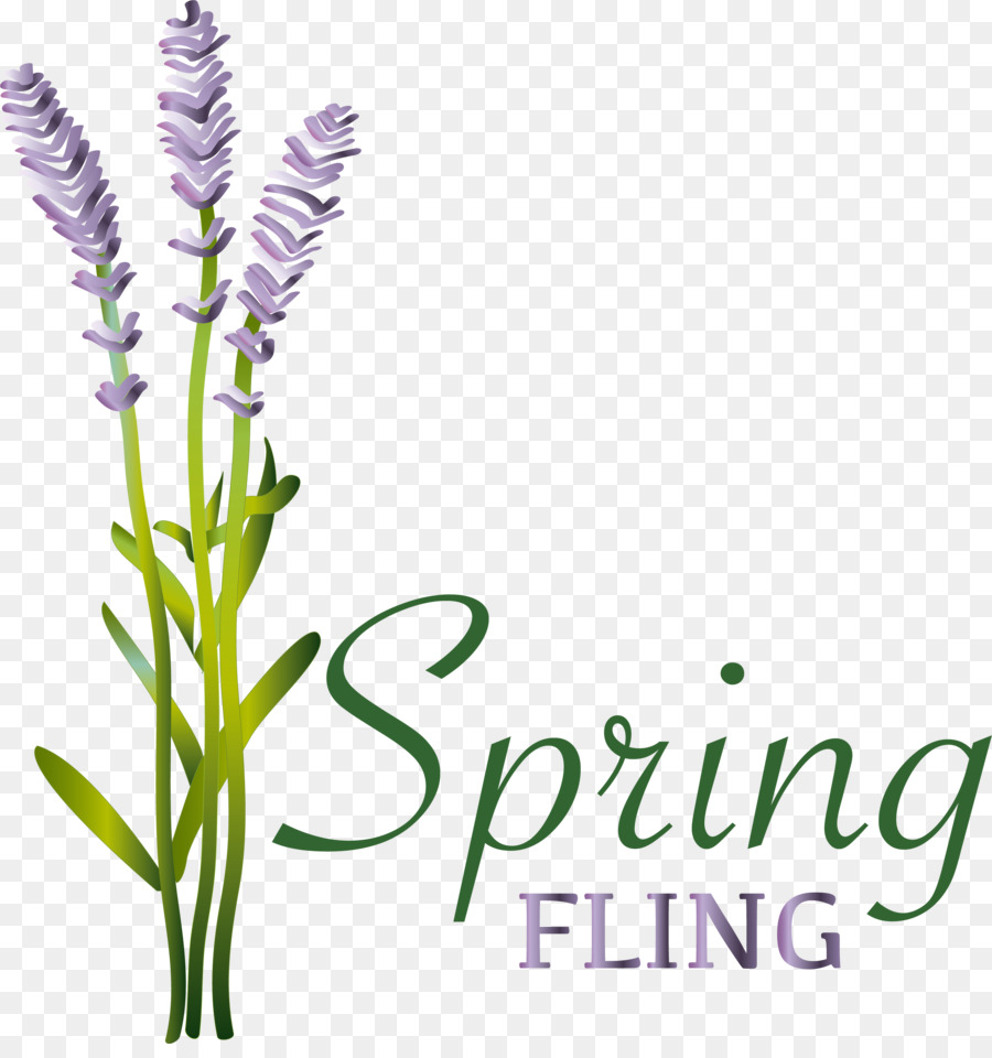 Inglês Lavanda，Flor PNG