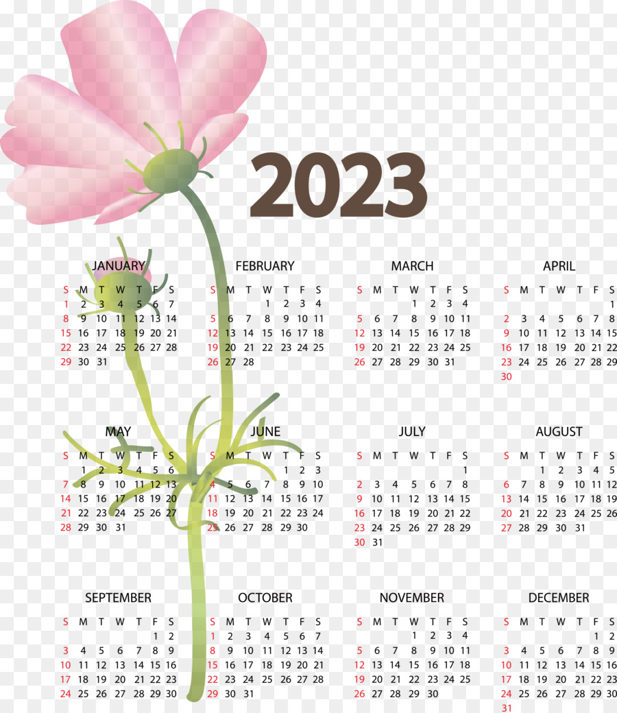 Calendário 2024，Ano PNG